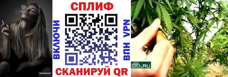 где продают наркотики  Западная Двина  Бошки Шишки конопля 